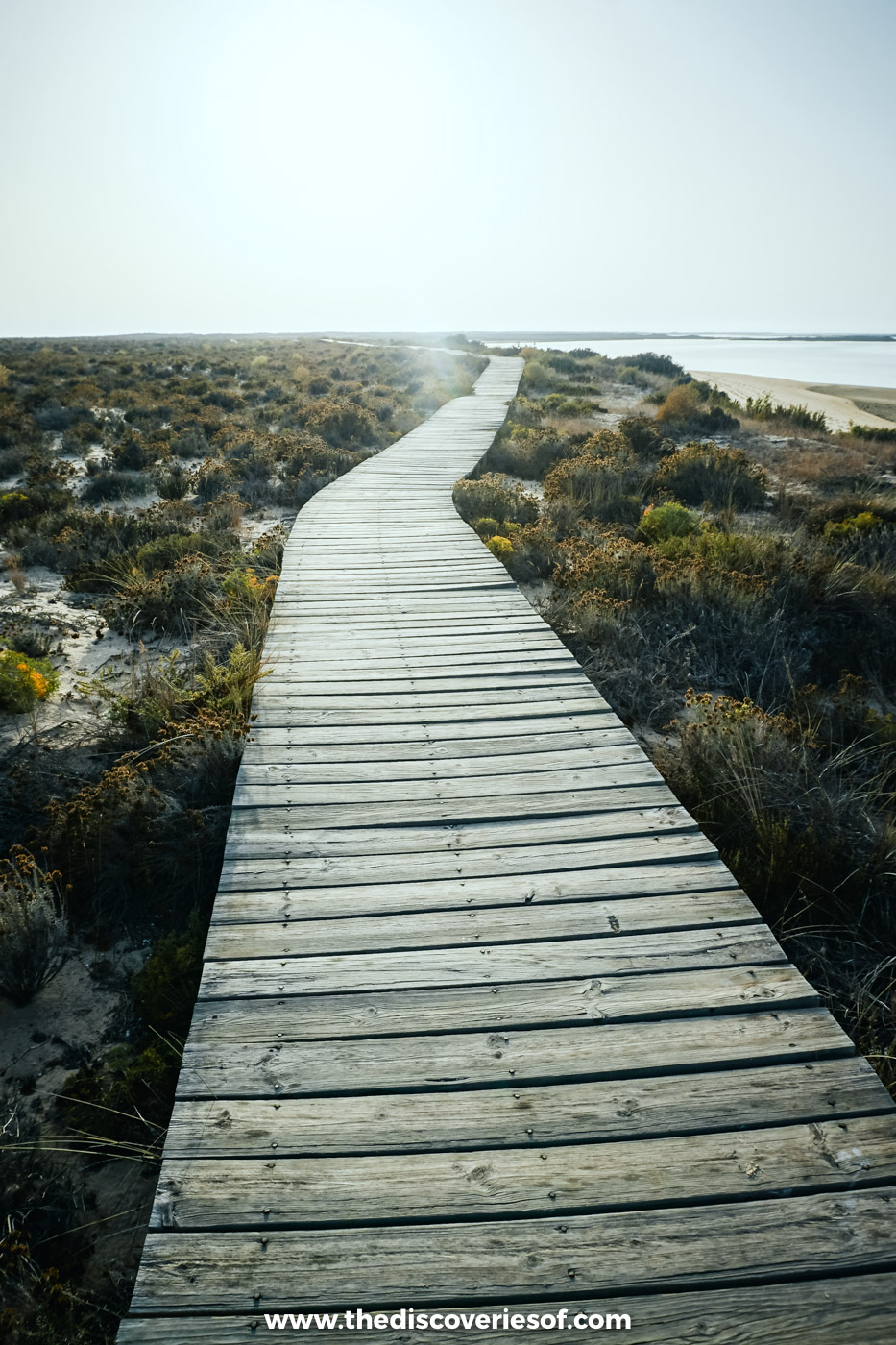 A weathered wooden boardwalk winding through low dune scrub on Ilha Deserta in the Ria Formosa under a pale hazy sky