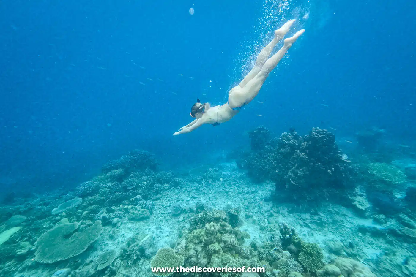 Snorkeller diving down over coral and fish in clear blue water between El Nido and Coron