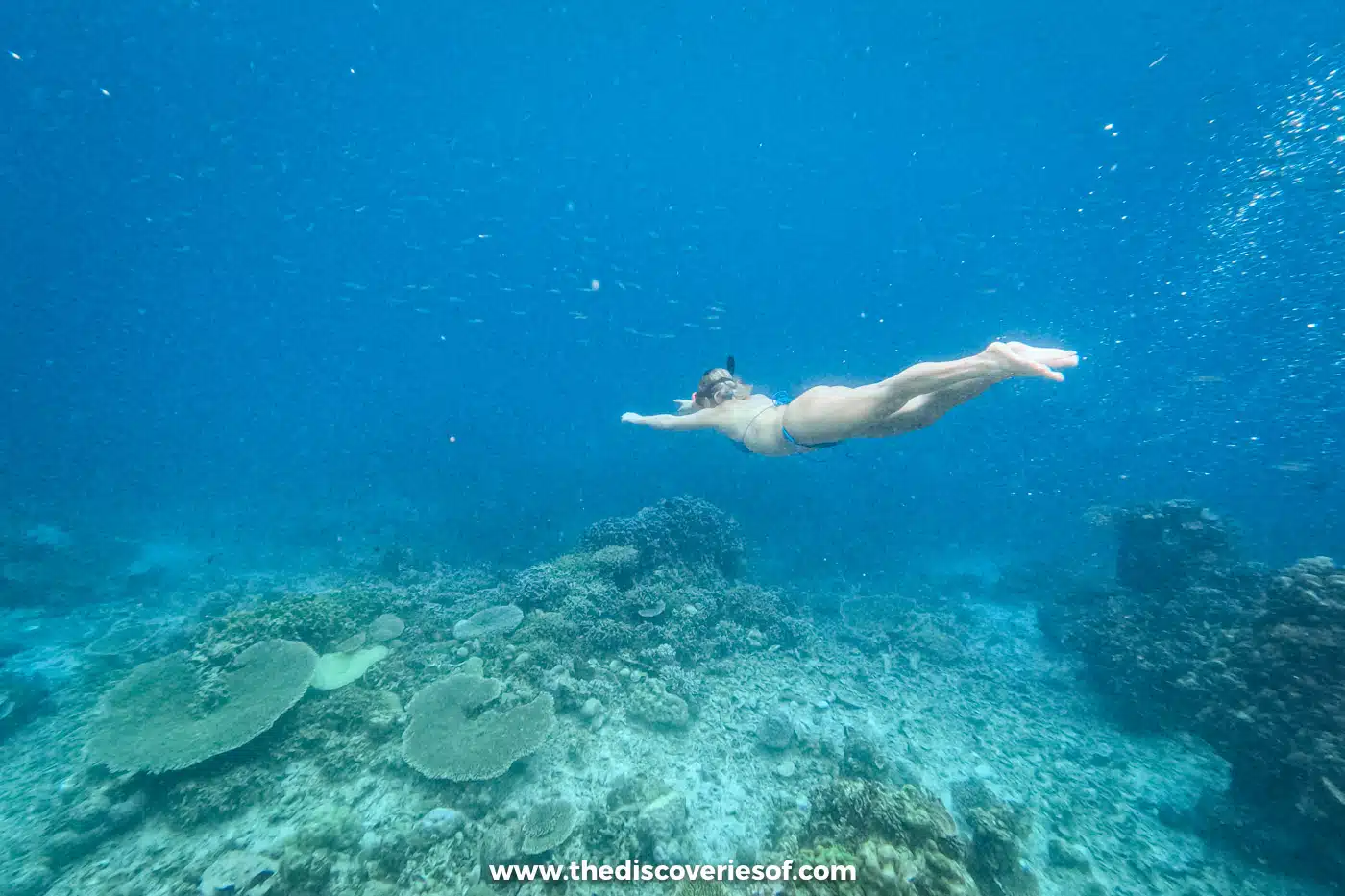 Snorkeller diving down towards coral in clear blue water on the boat expedition from El Nido to Coron
