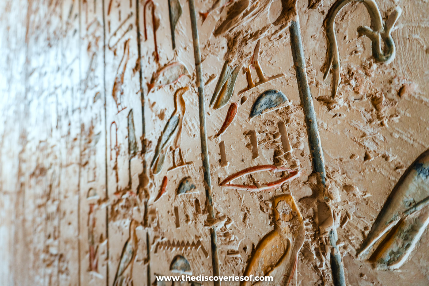 Close-up of carved and painted hieroglyphs of birds and signs on a corridor wall in tomb KV8, Luxor