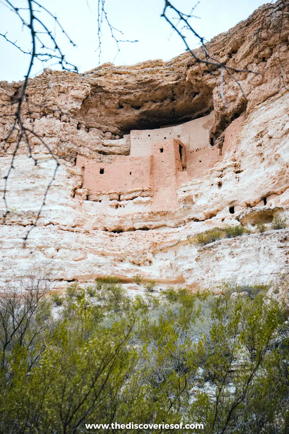 Montezuma Castle cliff dwelling in its limestone alcove, framed by bare branches, Camp Verde, Arizona