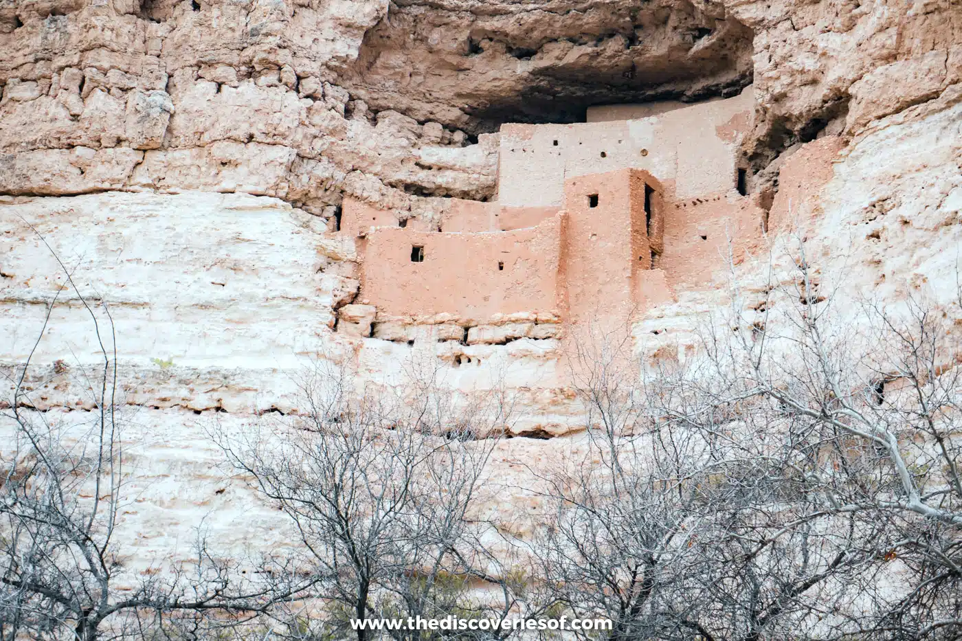 Montezuma Castle cliff dwelling rising above bare winter trees in Camp Verde, Arizona