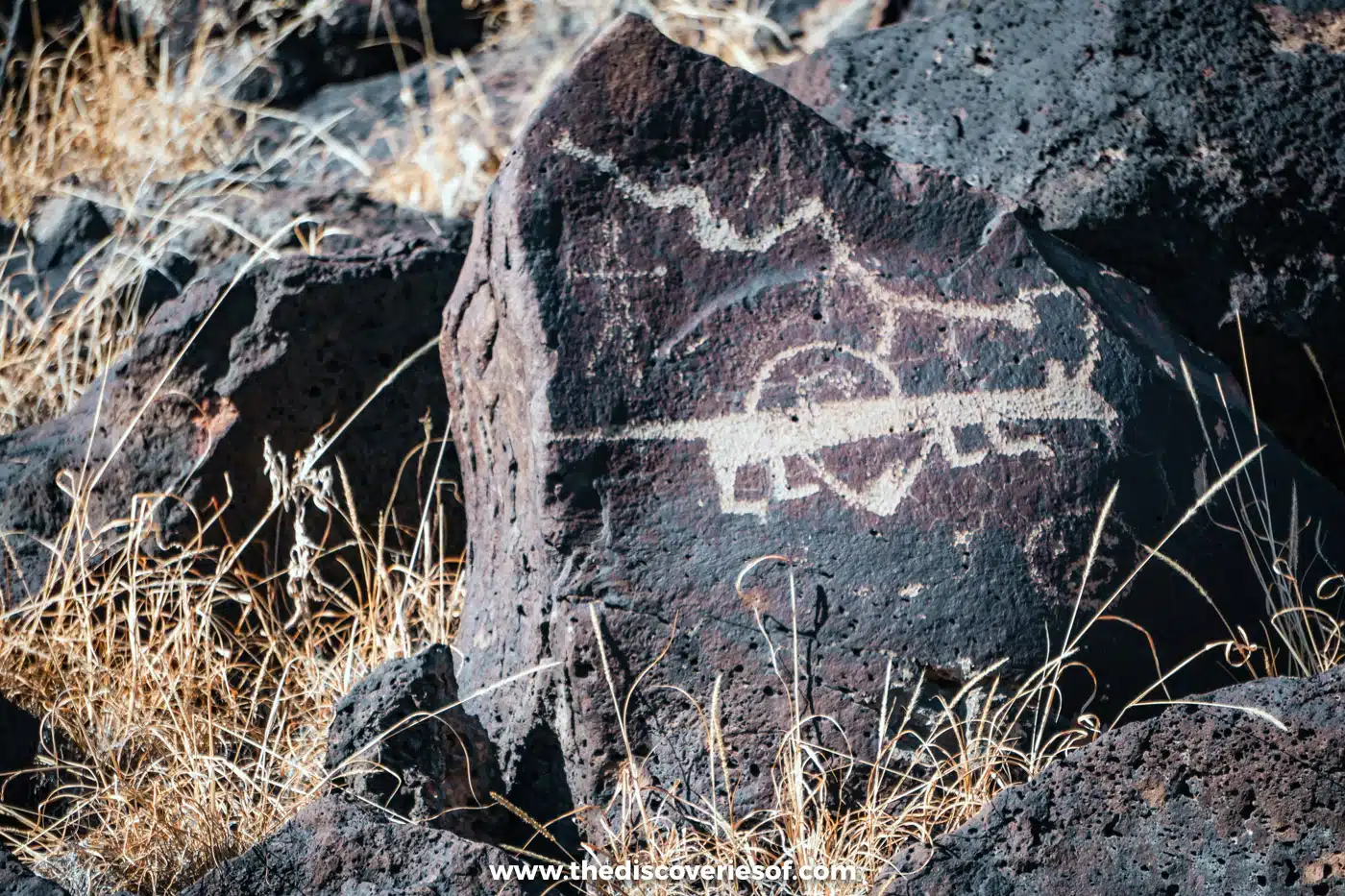 Long-bodied animal petroglyph and a zigzag line carved into a black basalt boulder in Rinconada Canyon, Petroglyph National Monument