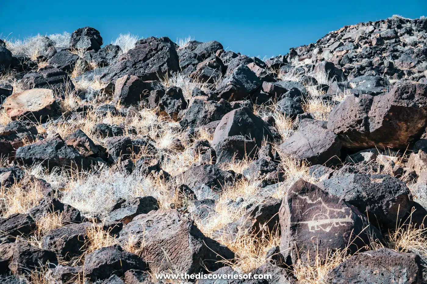 Slope of black volcanic boulders and pale grasses under a blue sky, with a carved rock in the foreground, Petroglyph National Monument