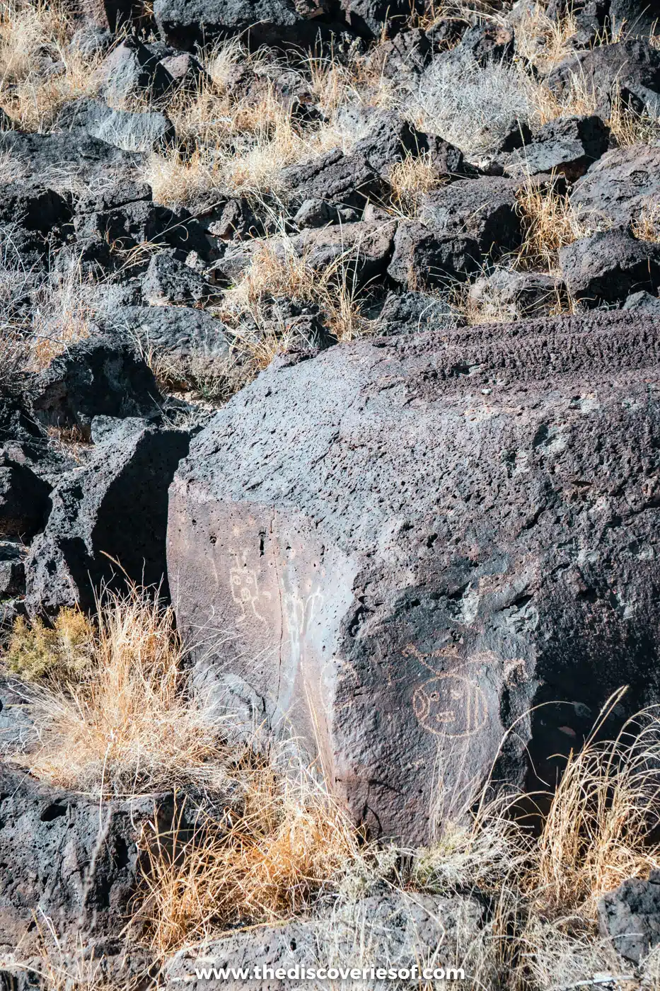 A carved basalt boulder among desert grasses beside the Rinconada Canyon Trail in Petroglyph National Monument