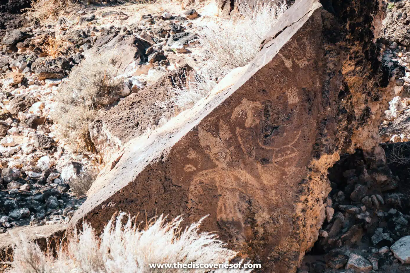 Tilted basalt slab covered in faint carved figures above pale desert grasses on the Rinconada Canyon Trail, Albuquerque