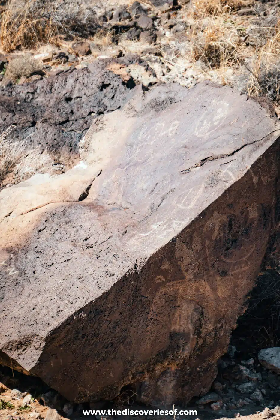 Faint carved figures on a large reddish basalt slab among grasses at Petroglyph National Monument, Albuquerque