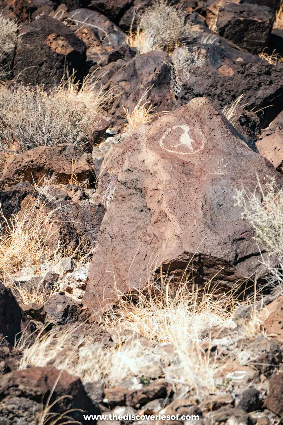 Face-like petroglyph carved into a reddish basalt boulder among dry grasses in Rinconada Canyon, Albuquerque