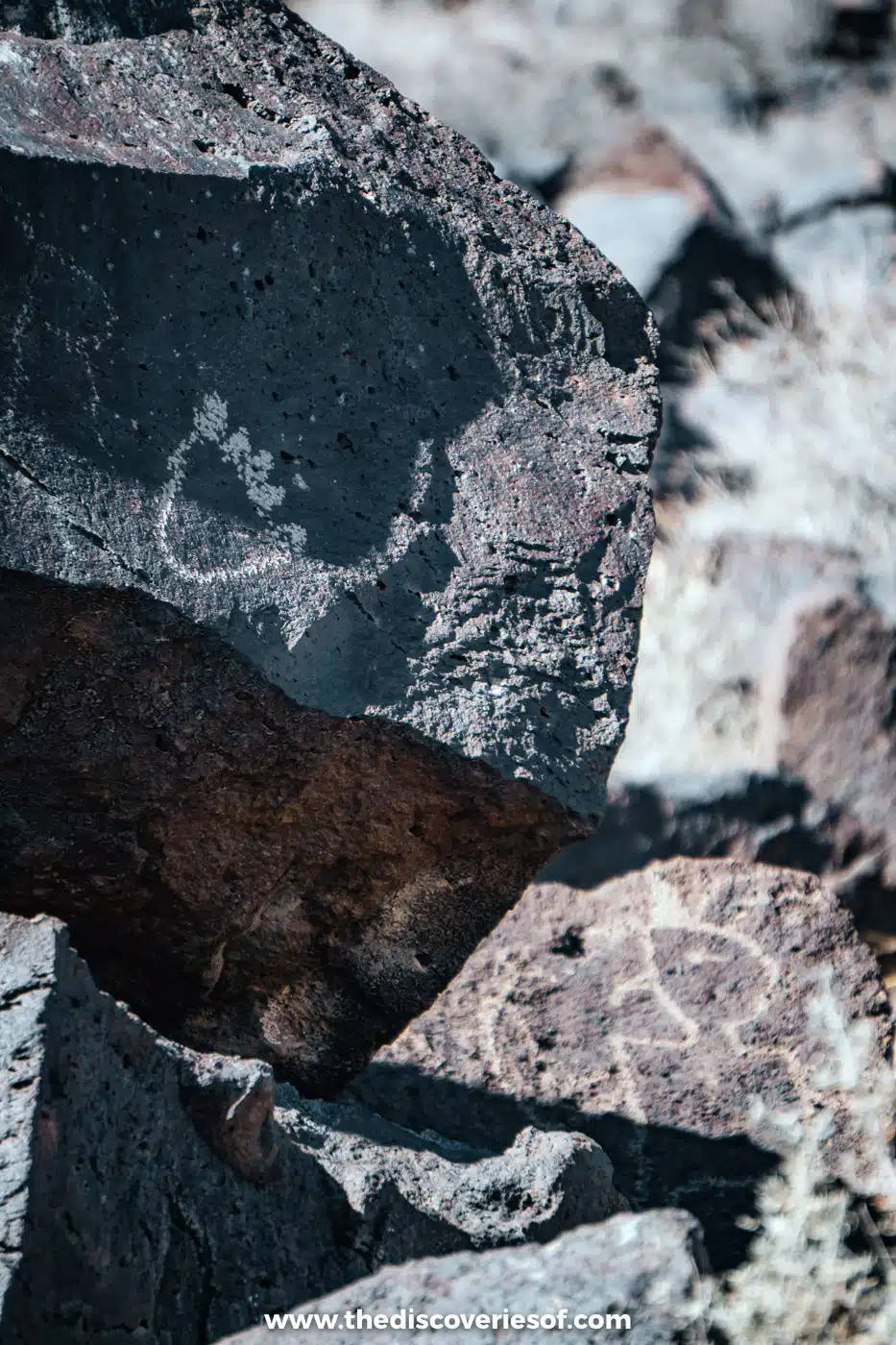 Pale figures and a circle pecked through the dark desert varnish on basalt boulders at Petroglyph National Monument, Albuquerque