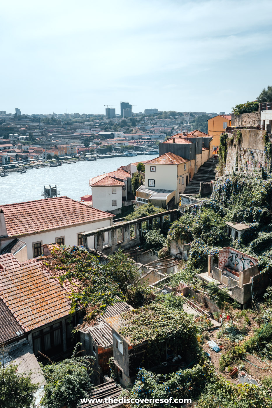 Houses and gardens tumbling down a steep hillside to the Douro river in Porto