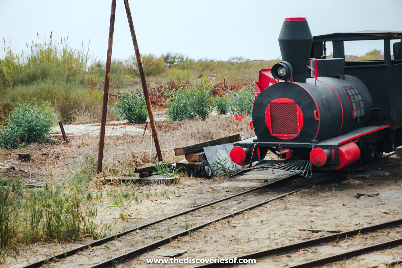 The small black and red locomotive of the Praia do Barril train on its narrow-gauge tracks among dune plants