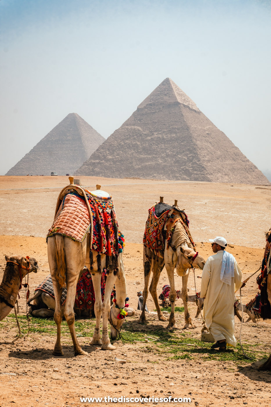 Saddled camels and a handler in a white robe waiting on the sand with two pyramids behind at Giza
