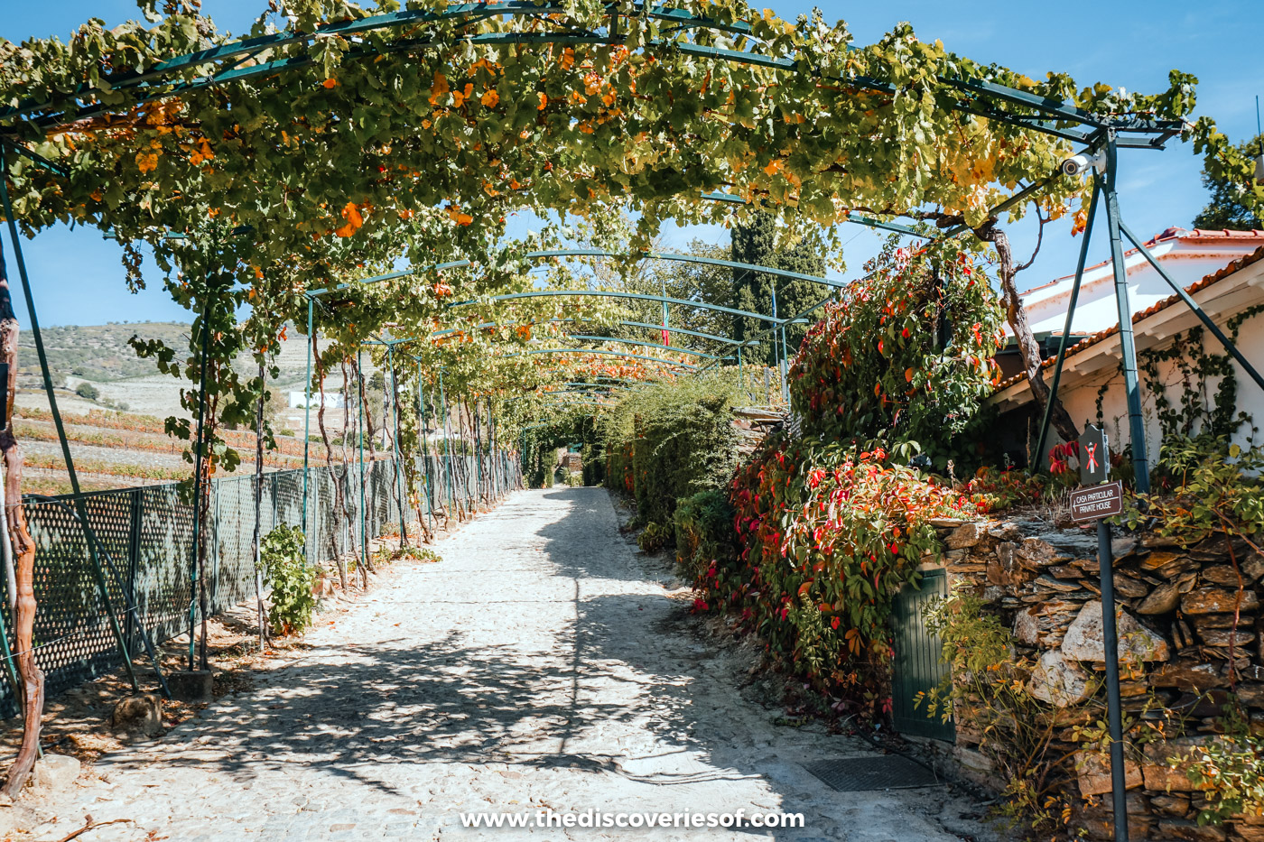 A stone path under a pergola of vines at Quinta do Bomfim, with terraced hills across the Douro Valley