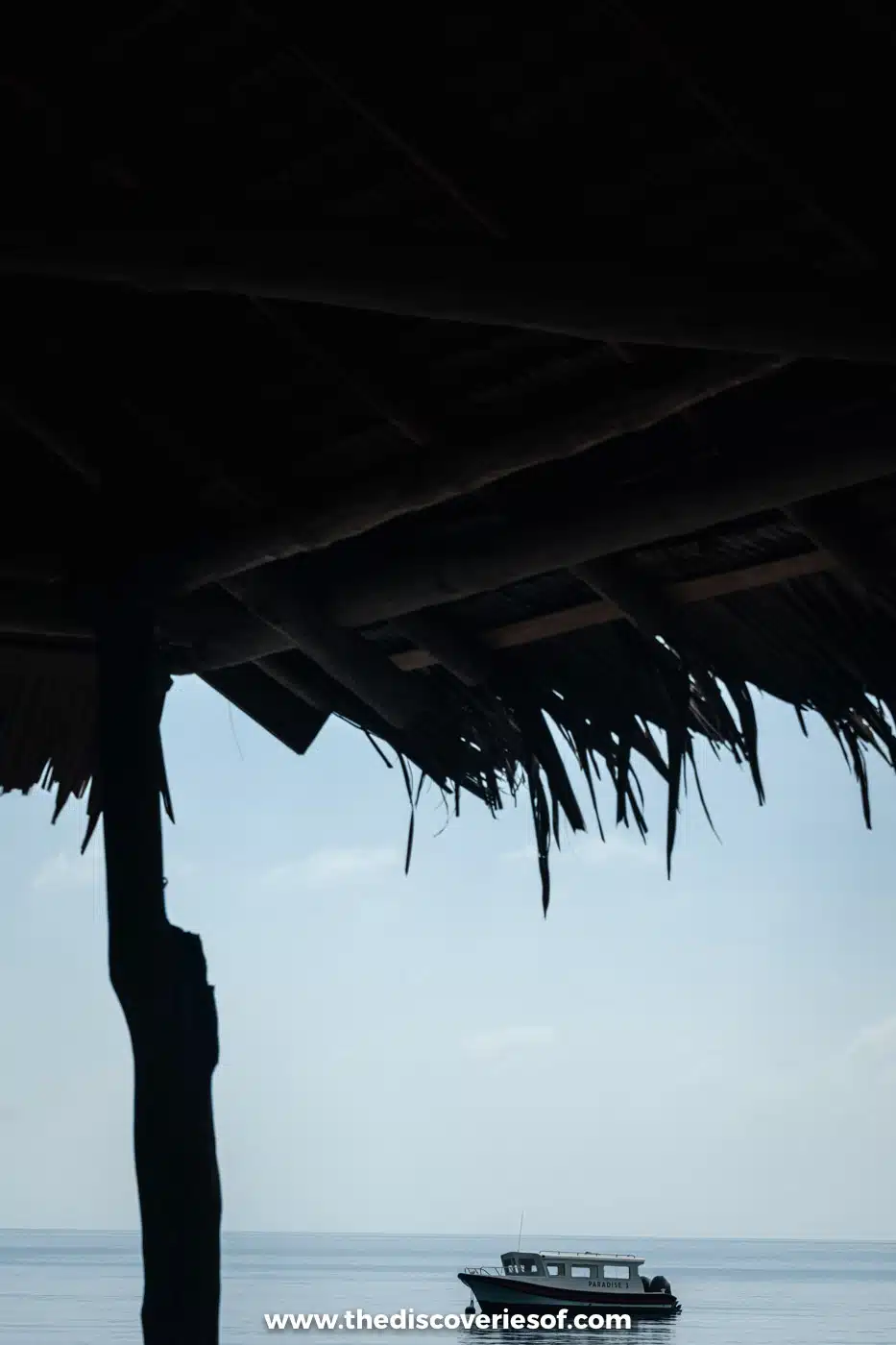 Dark thatched roof and wooden post framing a white Papua Paradise boat moored on calm water under a pale sky