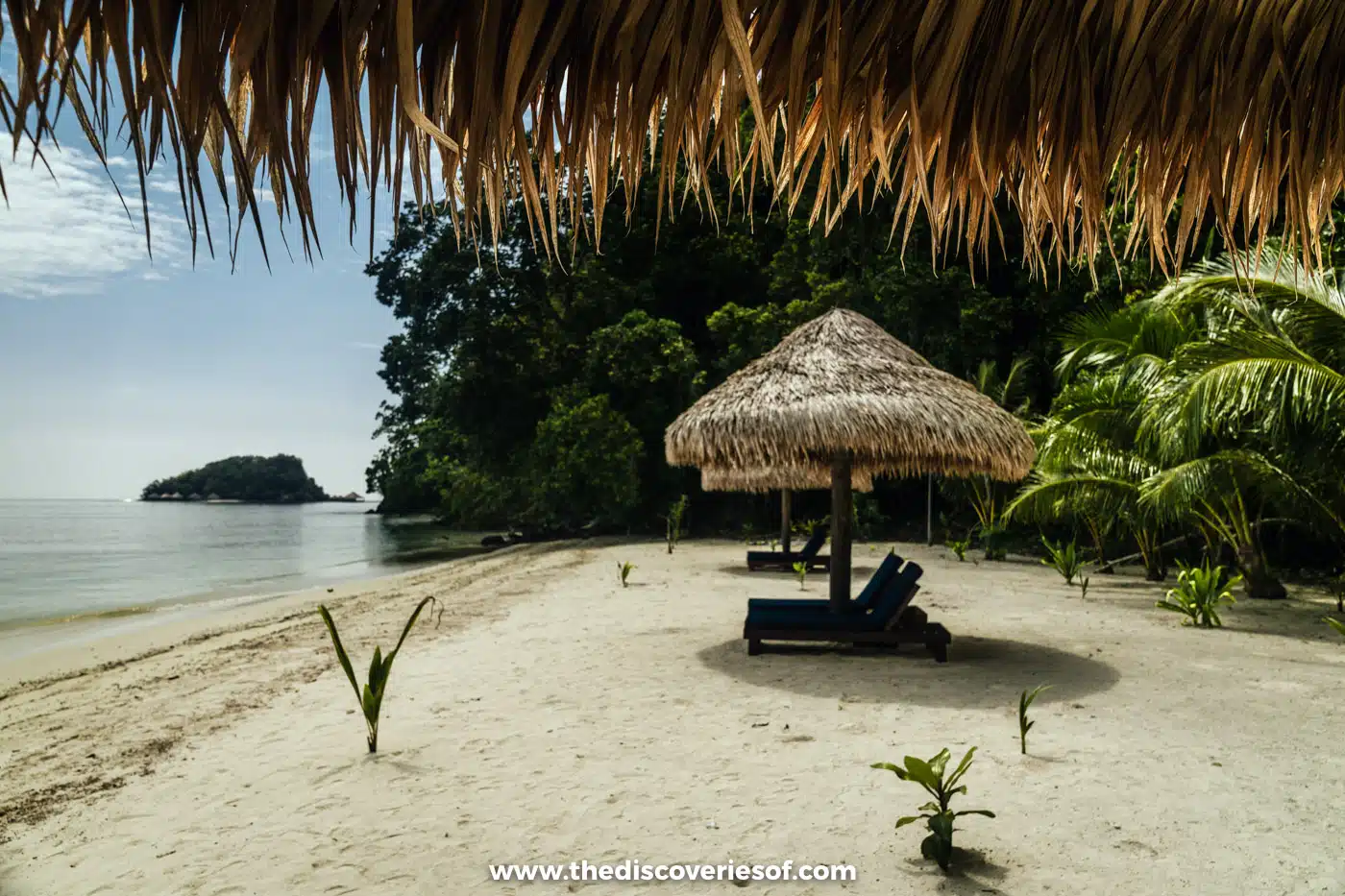 Thatched beach umbrella and sun loungers on white sand at Papua Paradise, fringed by jungle, with a small island offshore