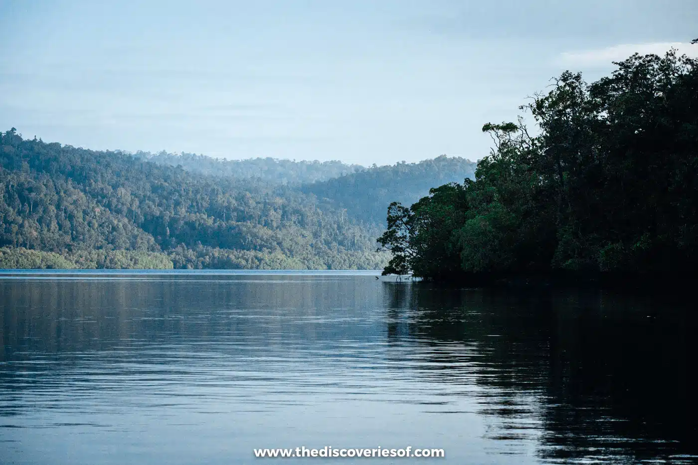 Mirror-calm channel lined with mangroves and rolling rainforest-covered hills under a pale blue sky in Raja Ampat