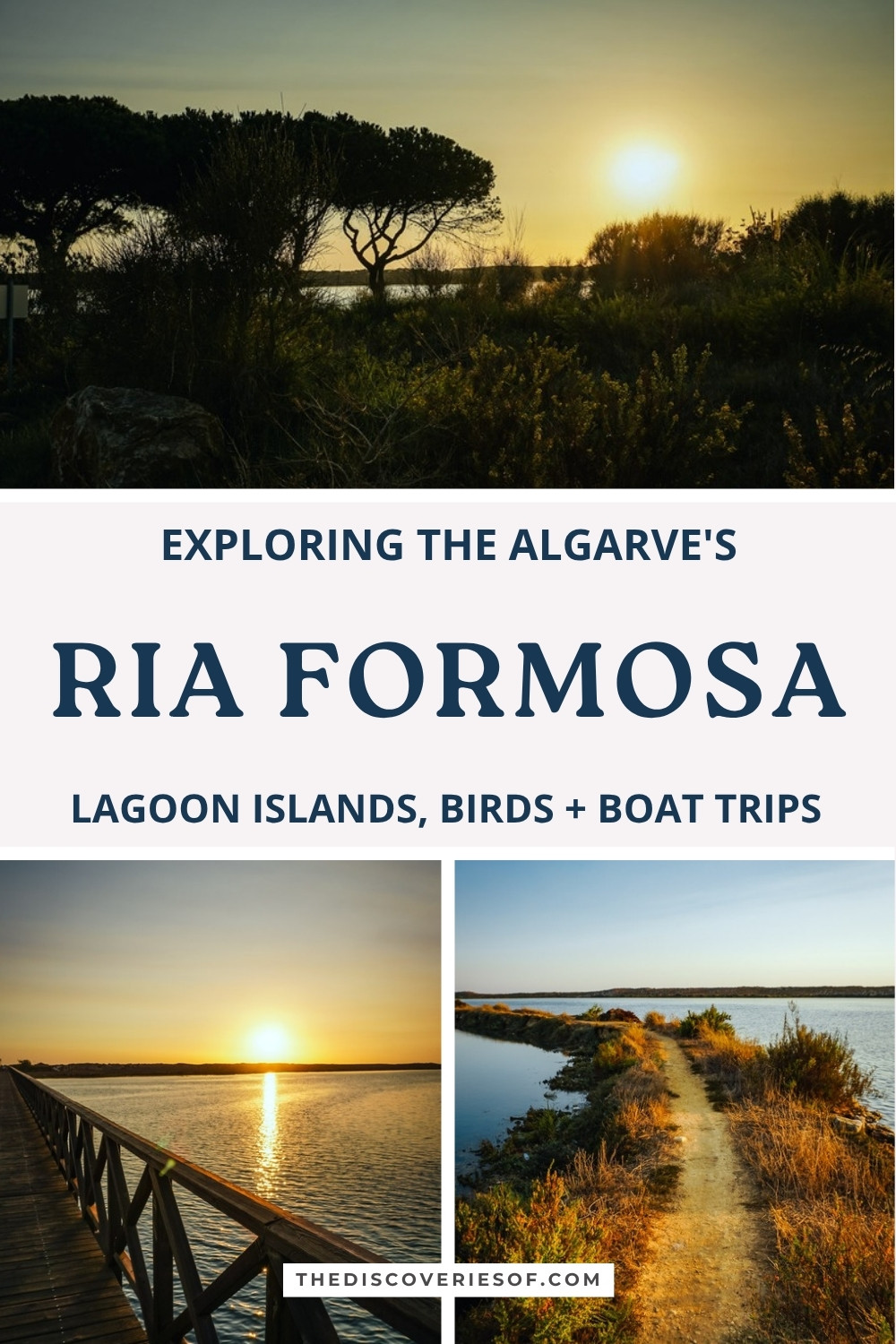 Exploring the Algarve's Ria Formosa: lagoon islands, birds and boat trips