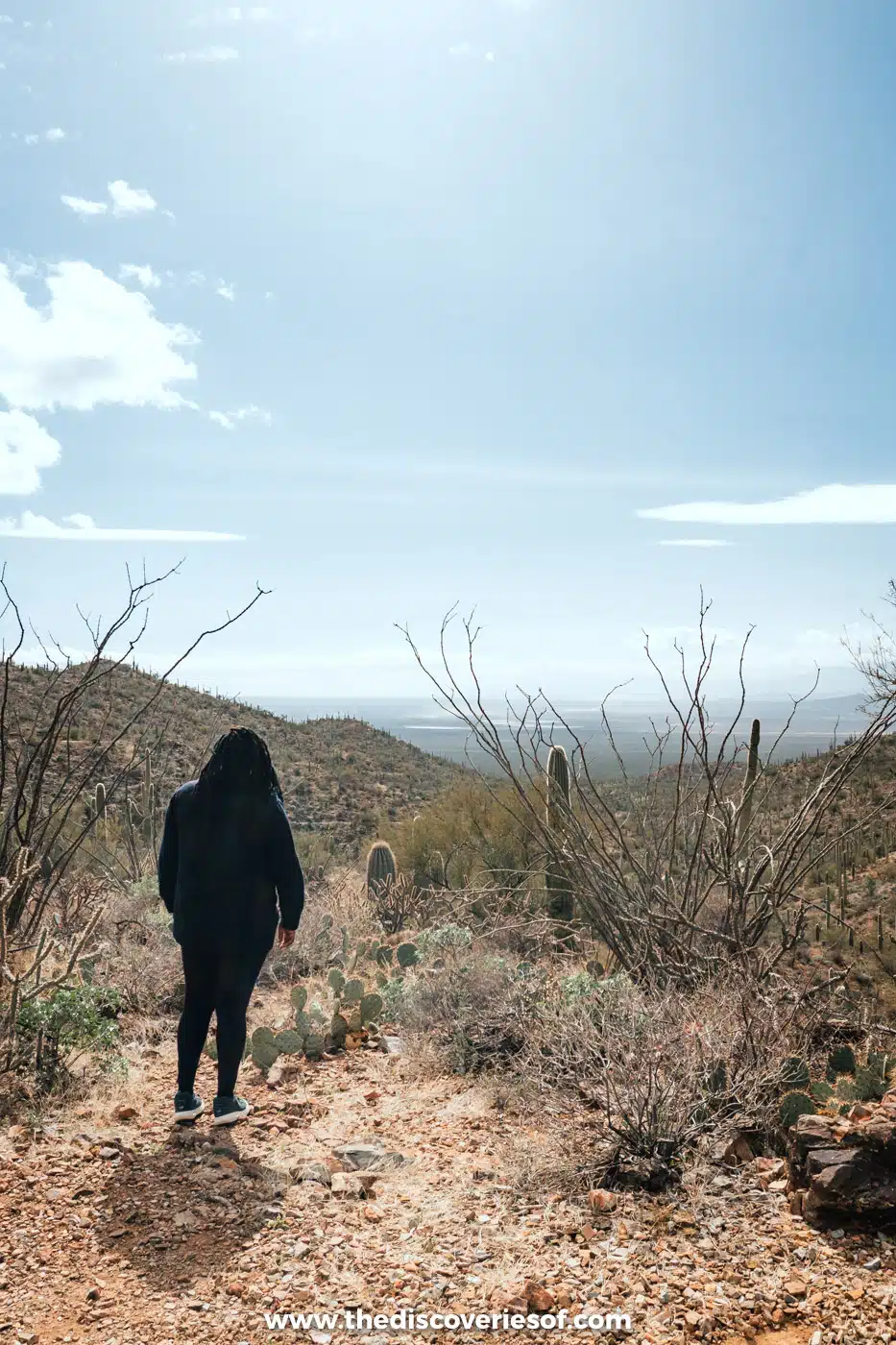 Julianna Barnaby looking out over the desert hills on the King Canyon and Gould Mine loop, Saguaro National Park