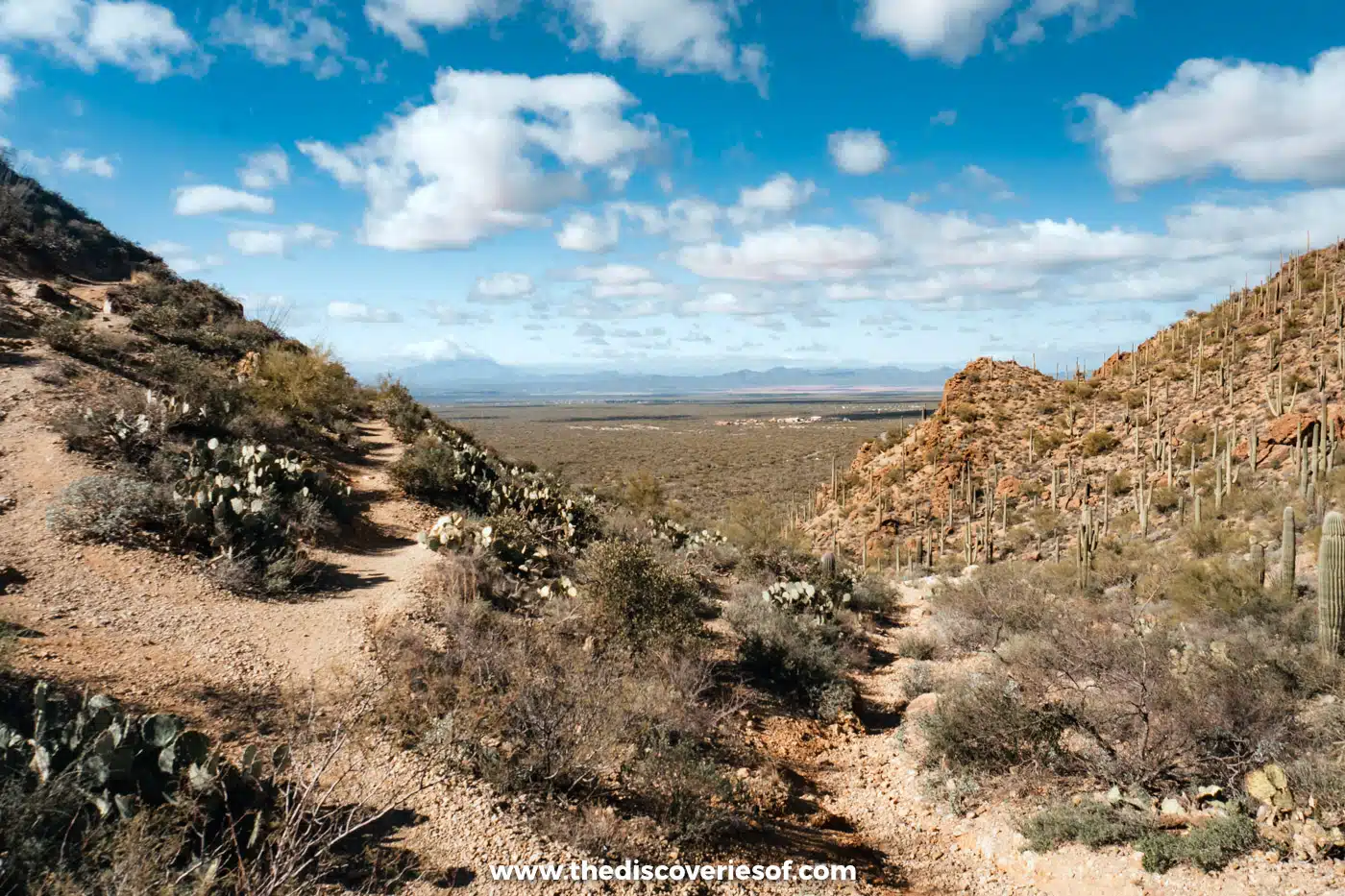 Desert hills and a trail with views over the Avra Valley in the Tucson Mountains
