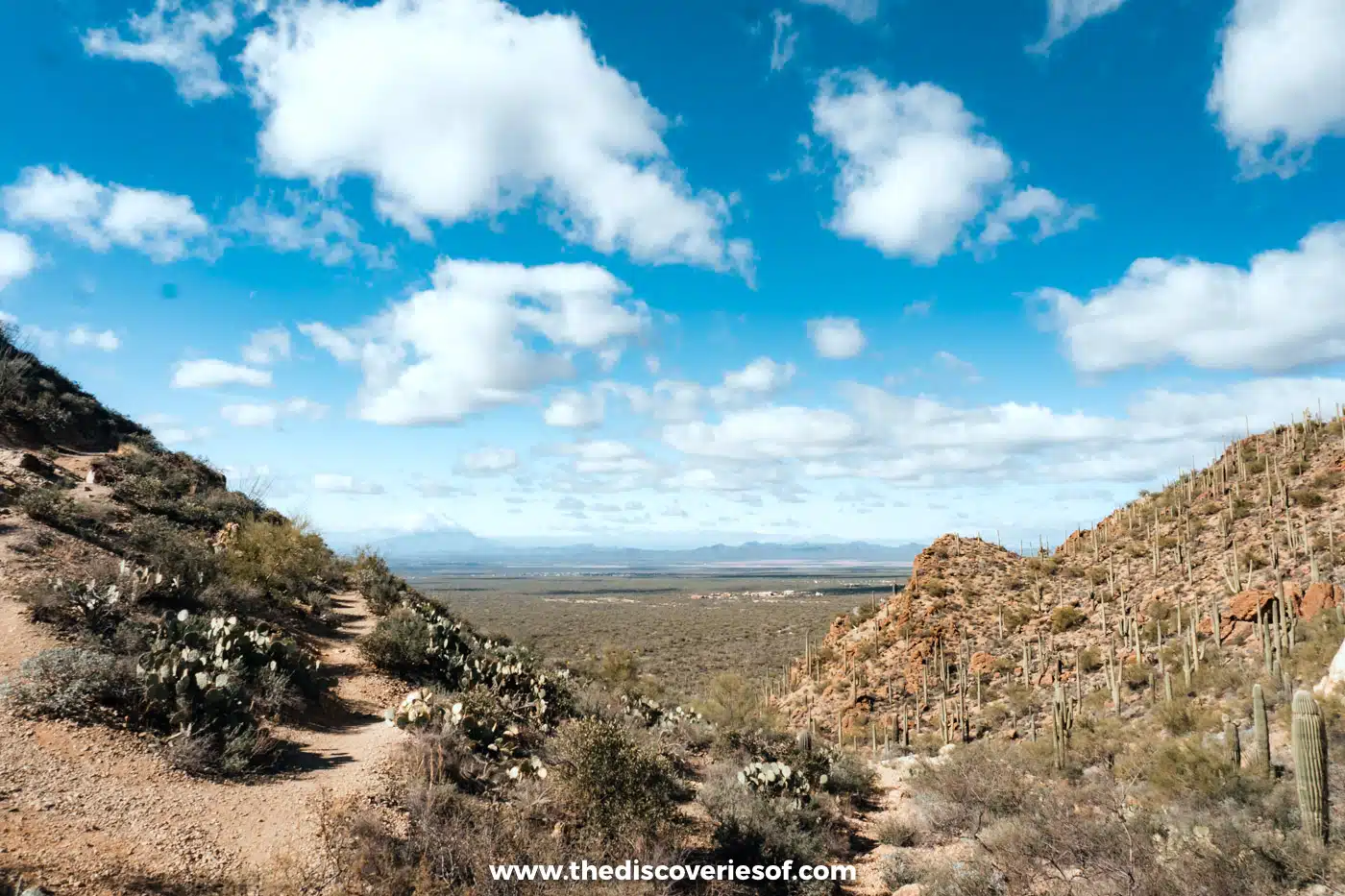 A desert trail between rocky slopes dotted with cacti looking out over the valley in the Tucson Mountains