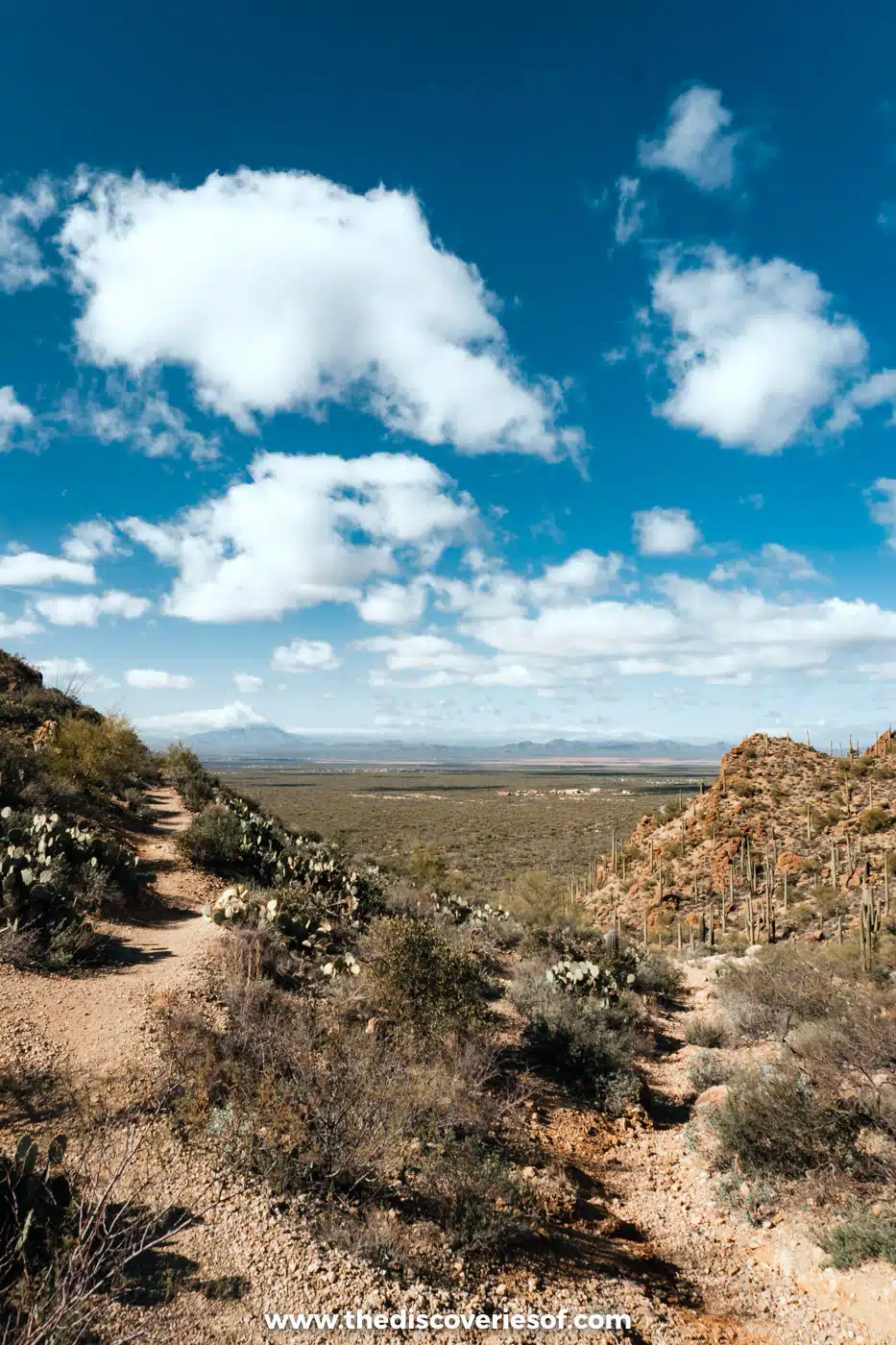 A desert trail winding through the Tucson Mountains near King Canyon, with wide views west