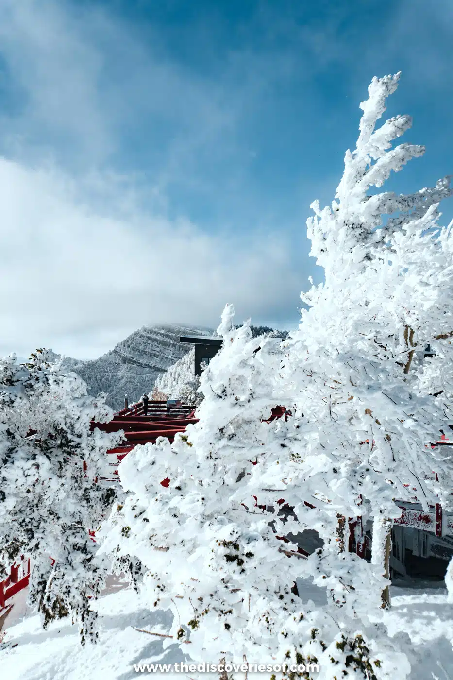 Snow-covered fir trees beside the red-roofed top station of the Sandia Peak Tramway above Albuquerque in winter