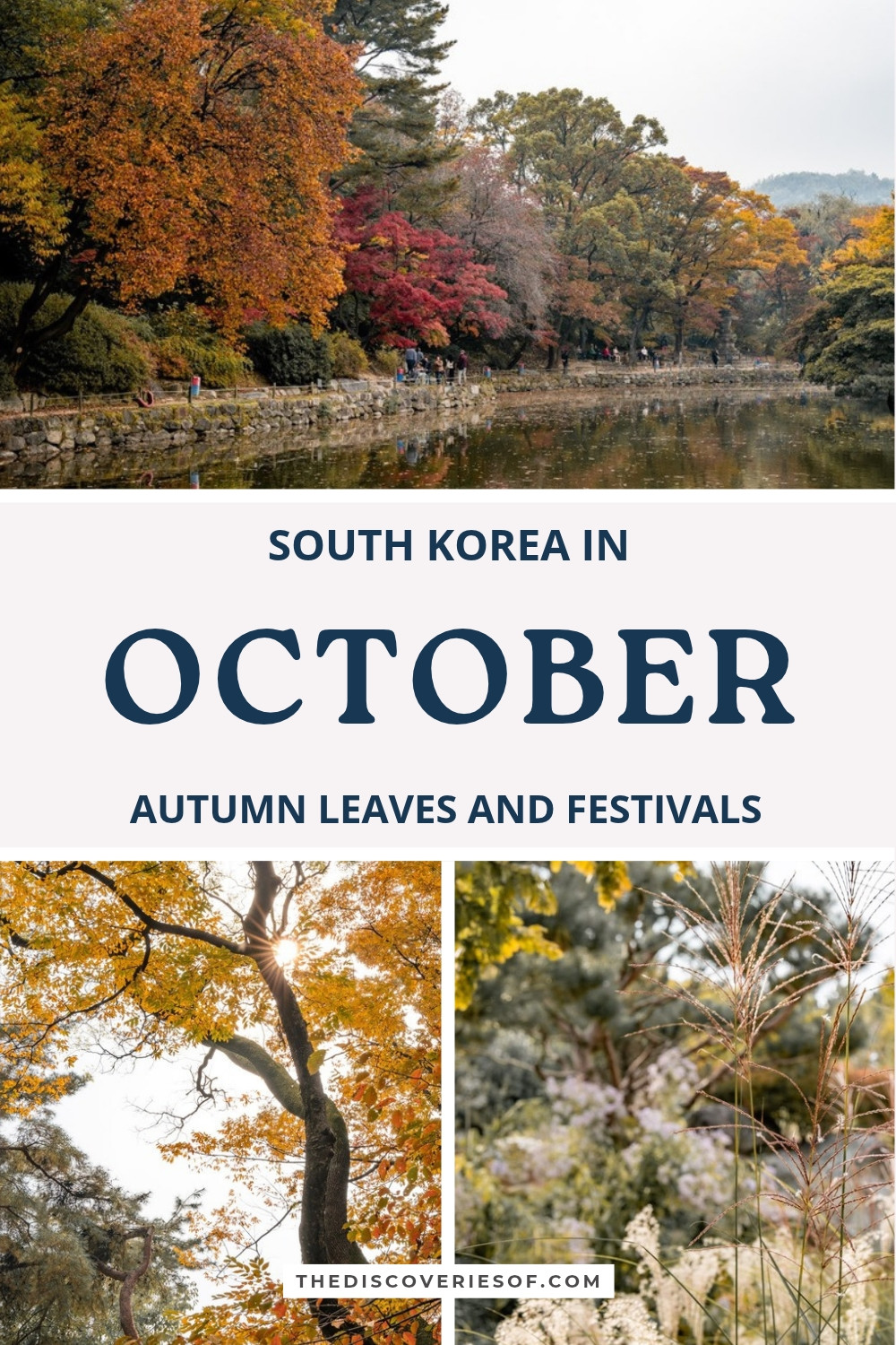 Autumn trees around the pond at Changgyeonggung Palace in Seoul, orange leaves and silver grass at the Jeonju arboretum