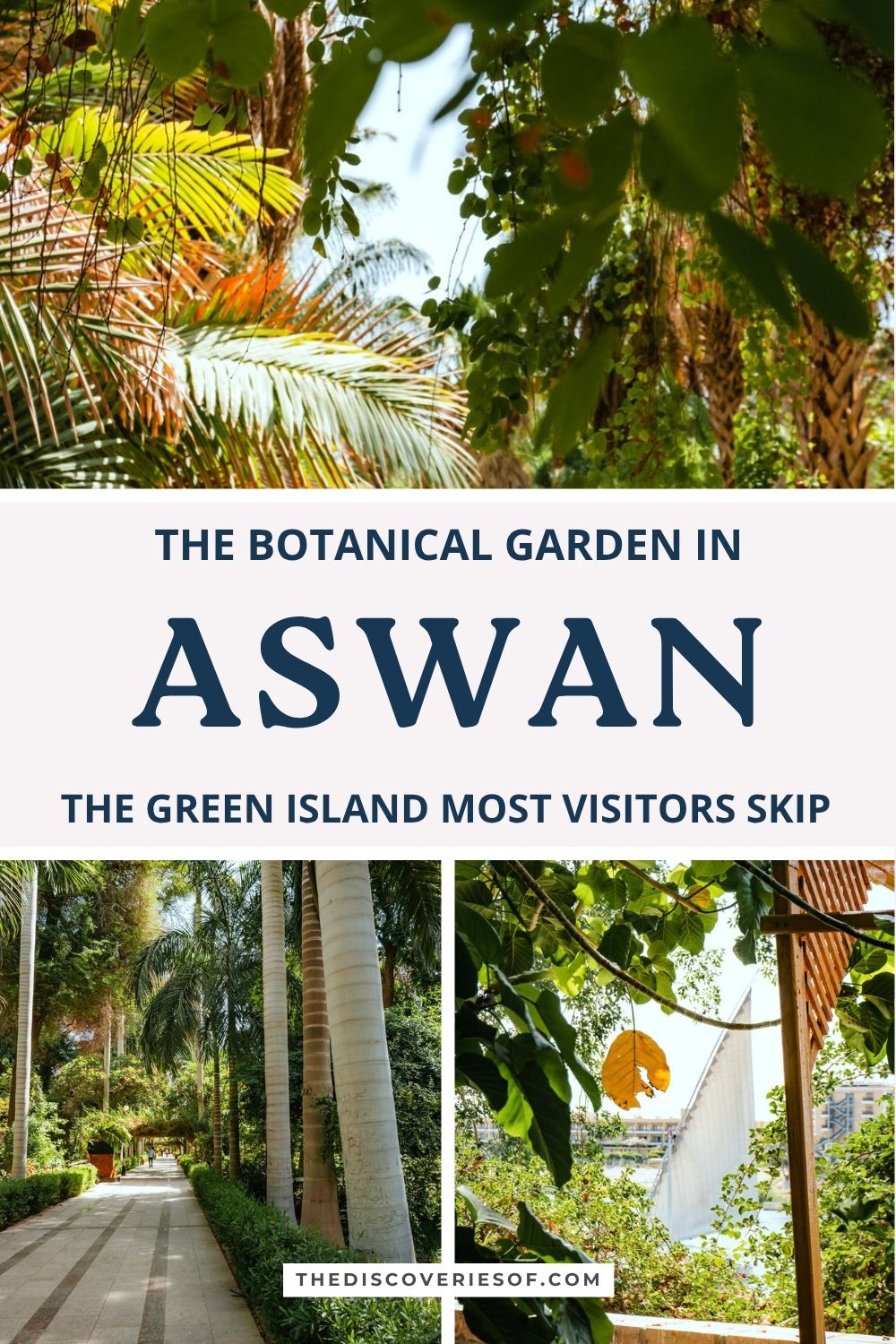 Aswan Botanical Garden: the green island most visitors skip