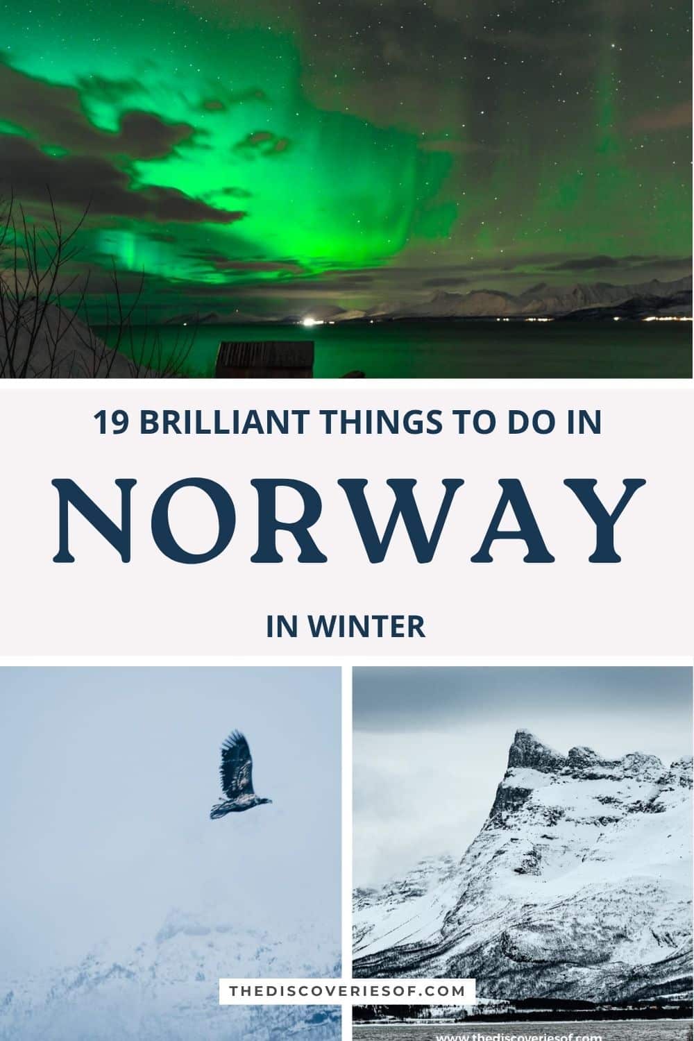 Things to do in Norway in winter pin