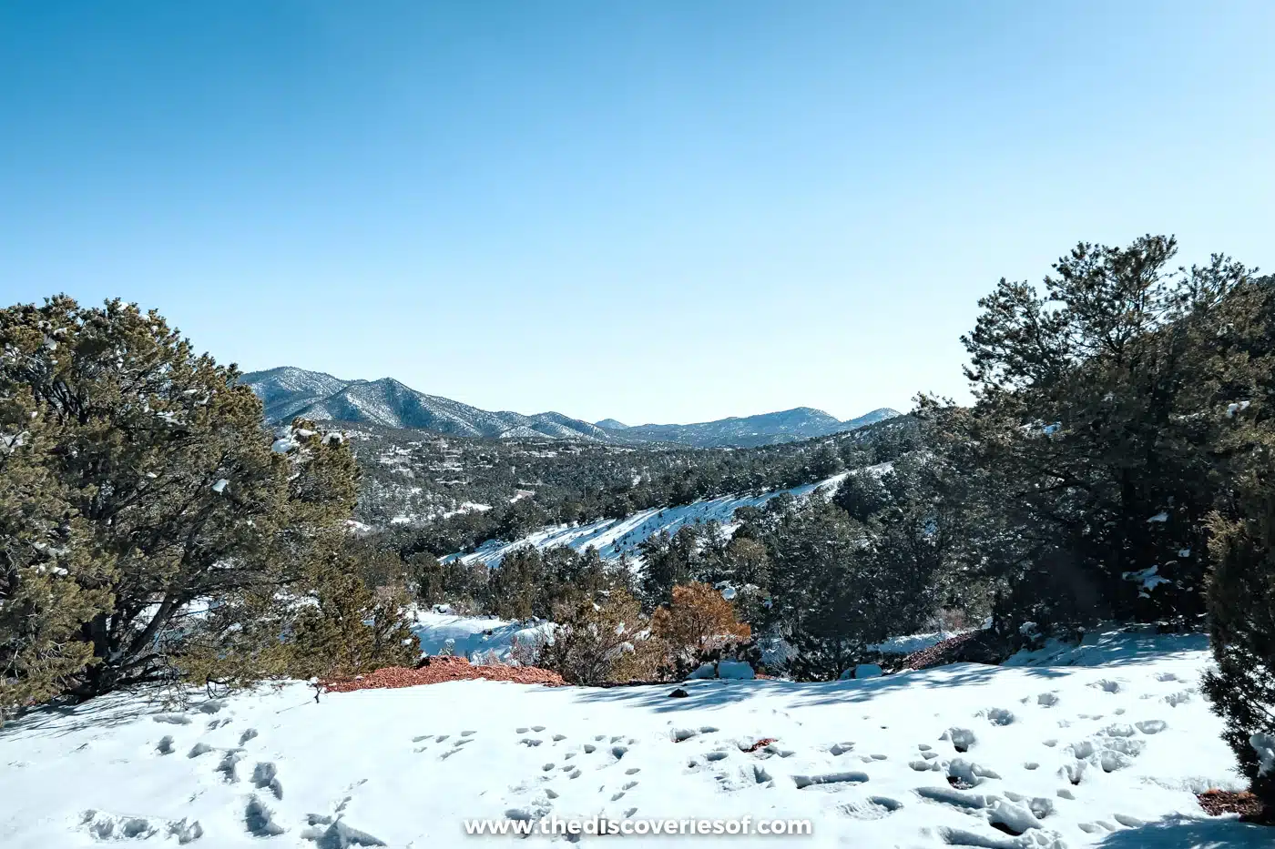 Snow-covered trail between pinon and juniper trees with mountains beyond on the Dale Ball Trails, Santa Fe