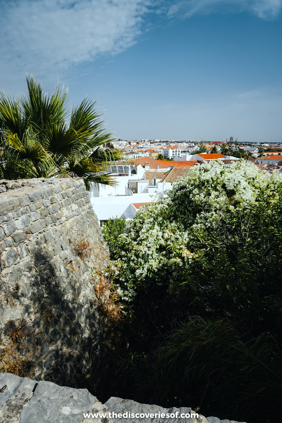 An old stone wall and flowering shrubs above the whitewashed houses and orange rooftops of Tavira, with a palm tree to one side