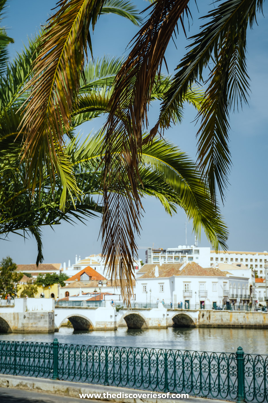The stone arches of the Ponte Antiga over the Rio Gilão in Tavira, seen through palm fronds above a green iron railing