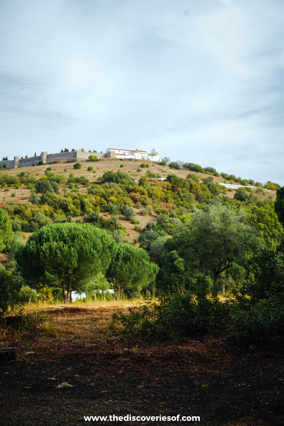 The castle walls and white church of Santiago do Cacém on a wooded hill, seen from the Historical Way below