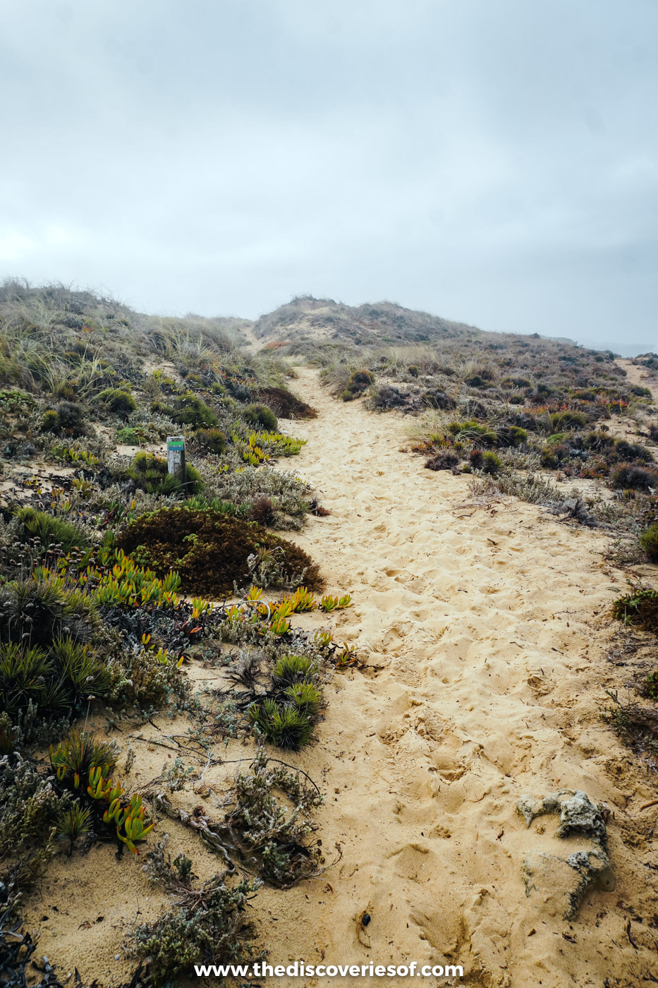 A narrow sandy footpath through low dune scrub on the Fishermen's Trail near Praia do Malhão, Alentejo coast
