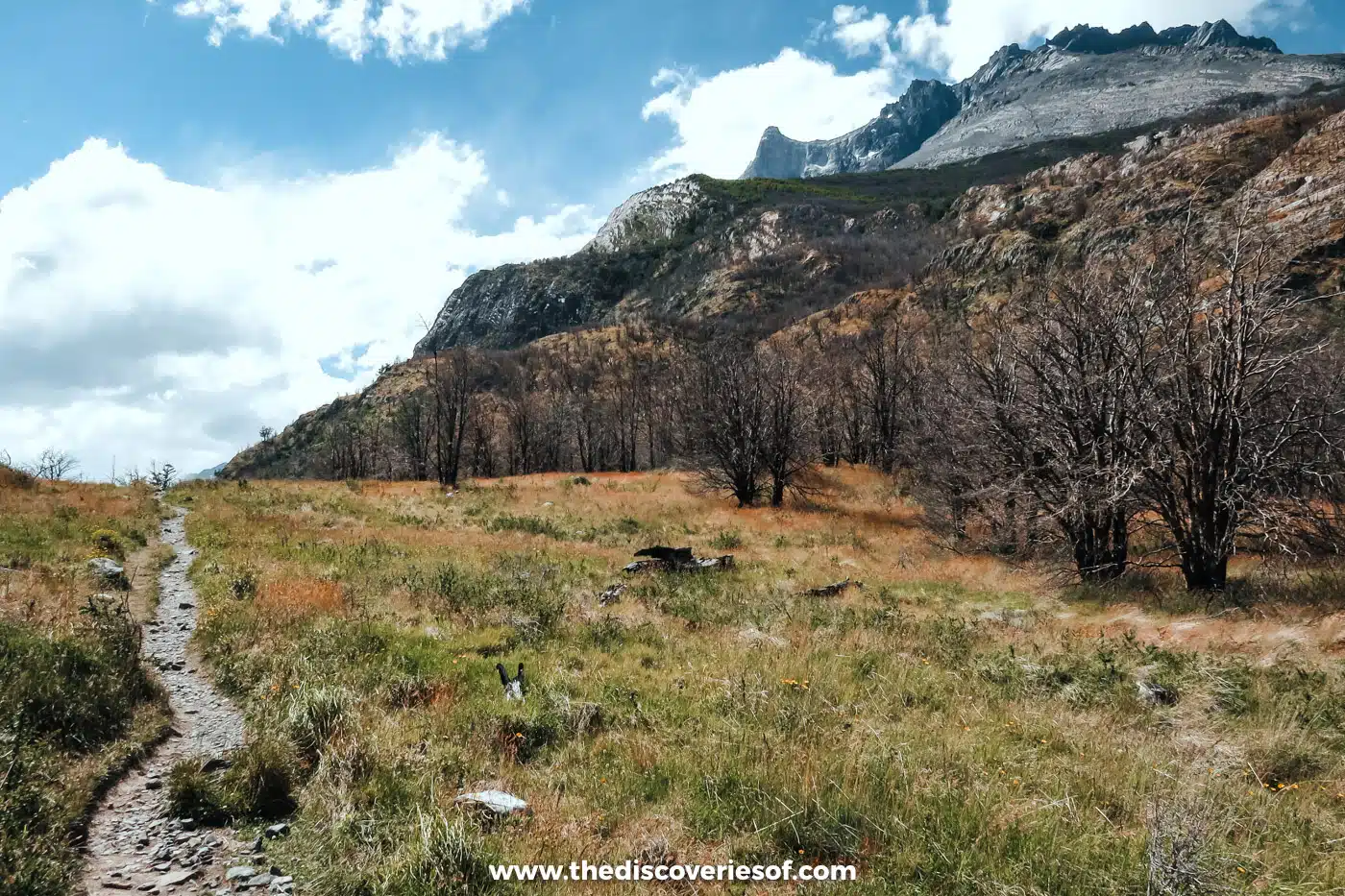 Trail through green grassland below rocky peaks in Torres del Paine, Chile