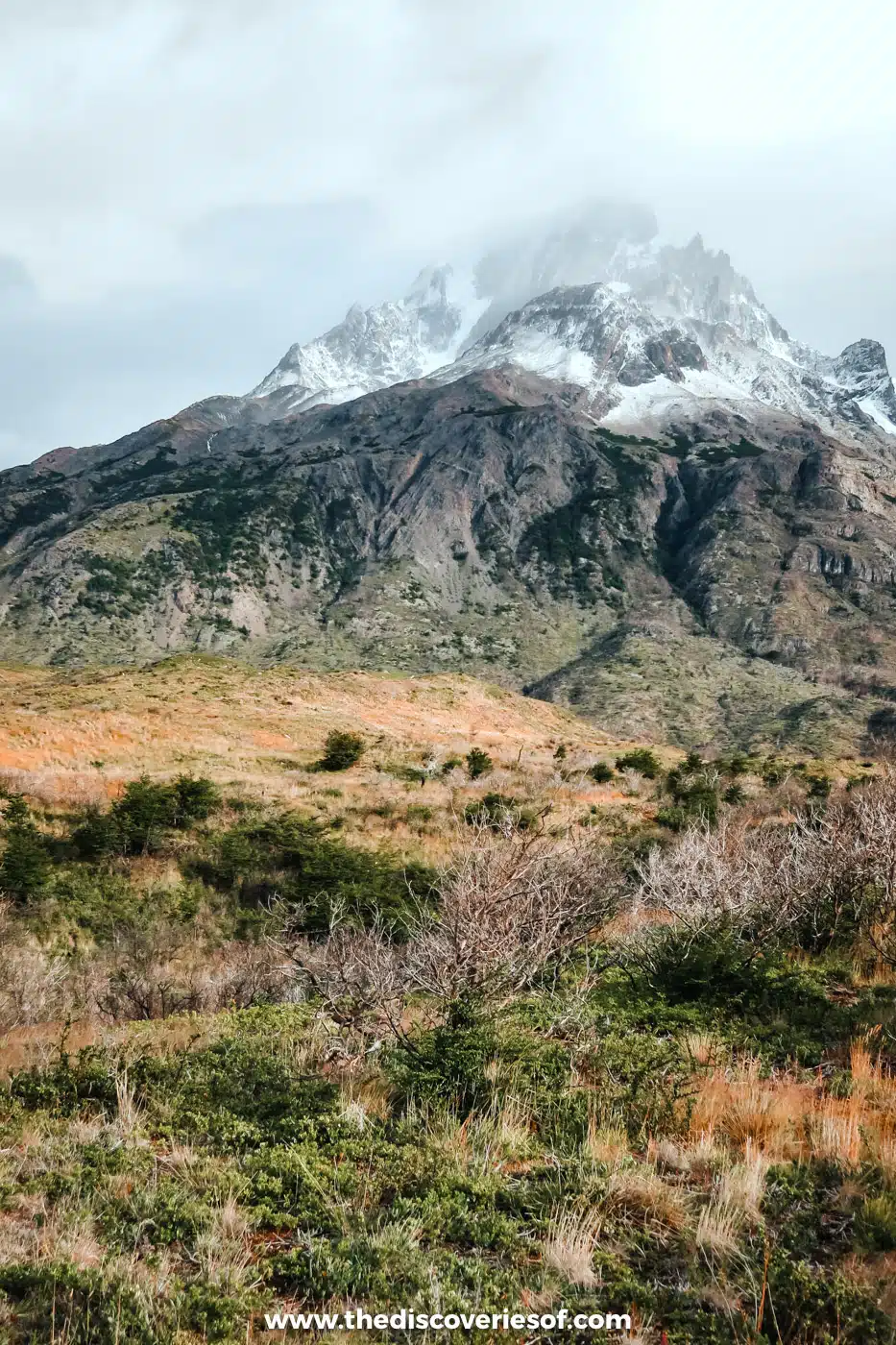 Snowy peak above golden grassland in Torres del Paine, Chile