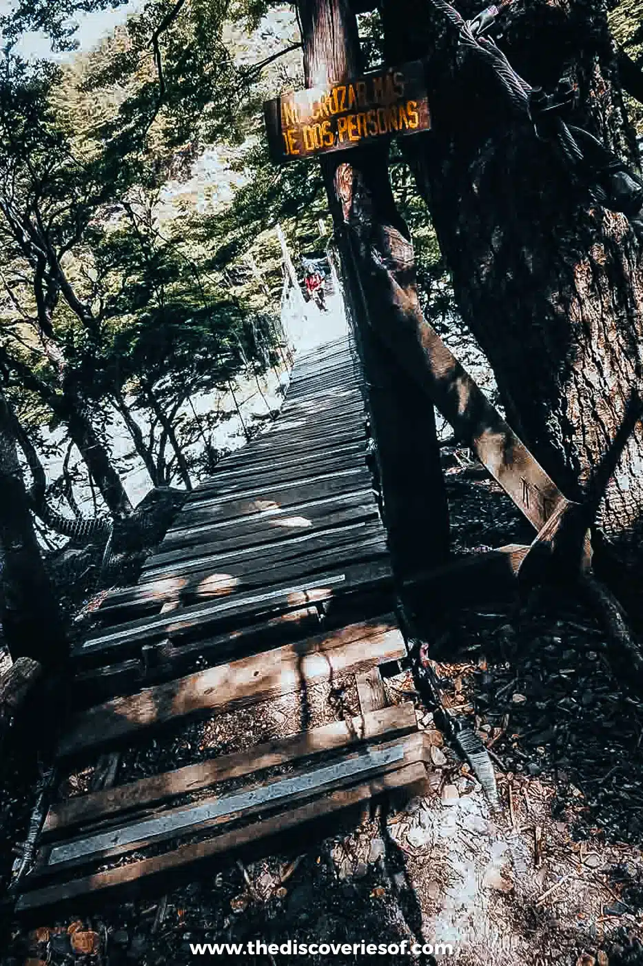 Wooden steps and a trail sign in the forest on the W Trek, Torres del Paine, Chile