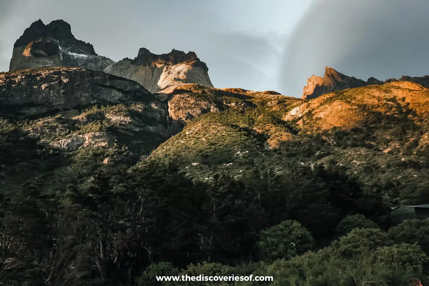 Golden evening light on the Cuernos del Paine above the forest, Torres del Paine, Chile