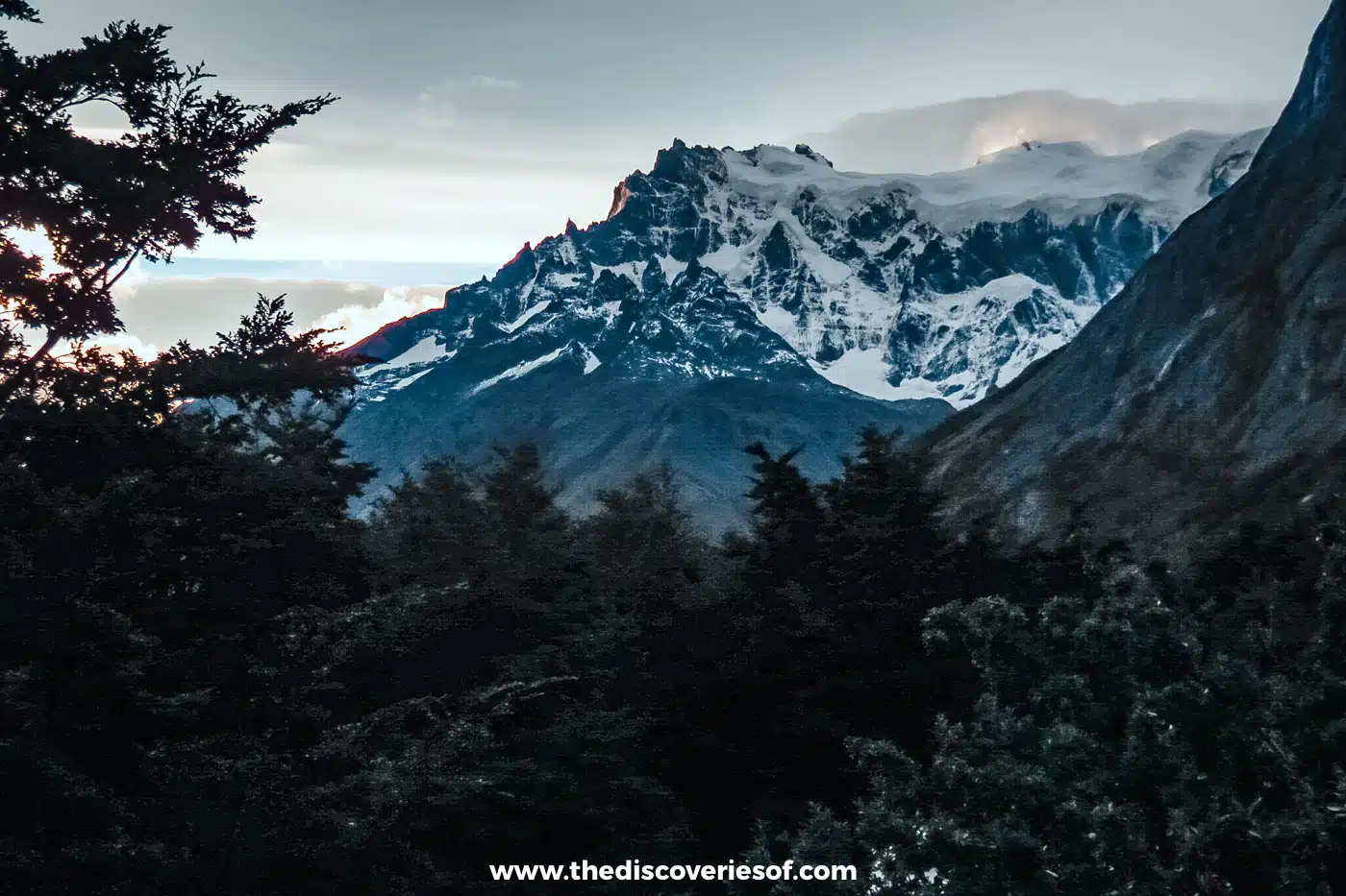 Snow-covered massif seen through dark forest in Torres del Paine, Chile