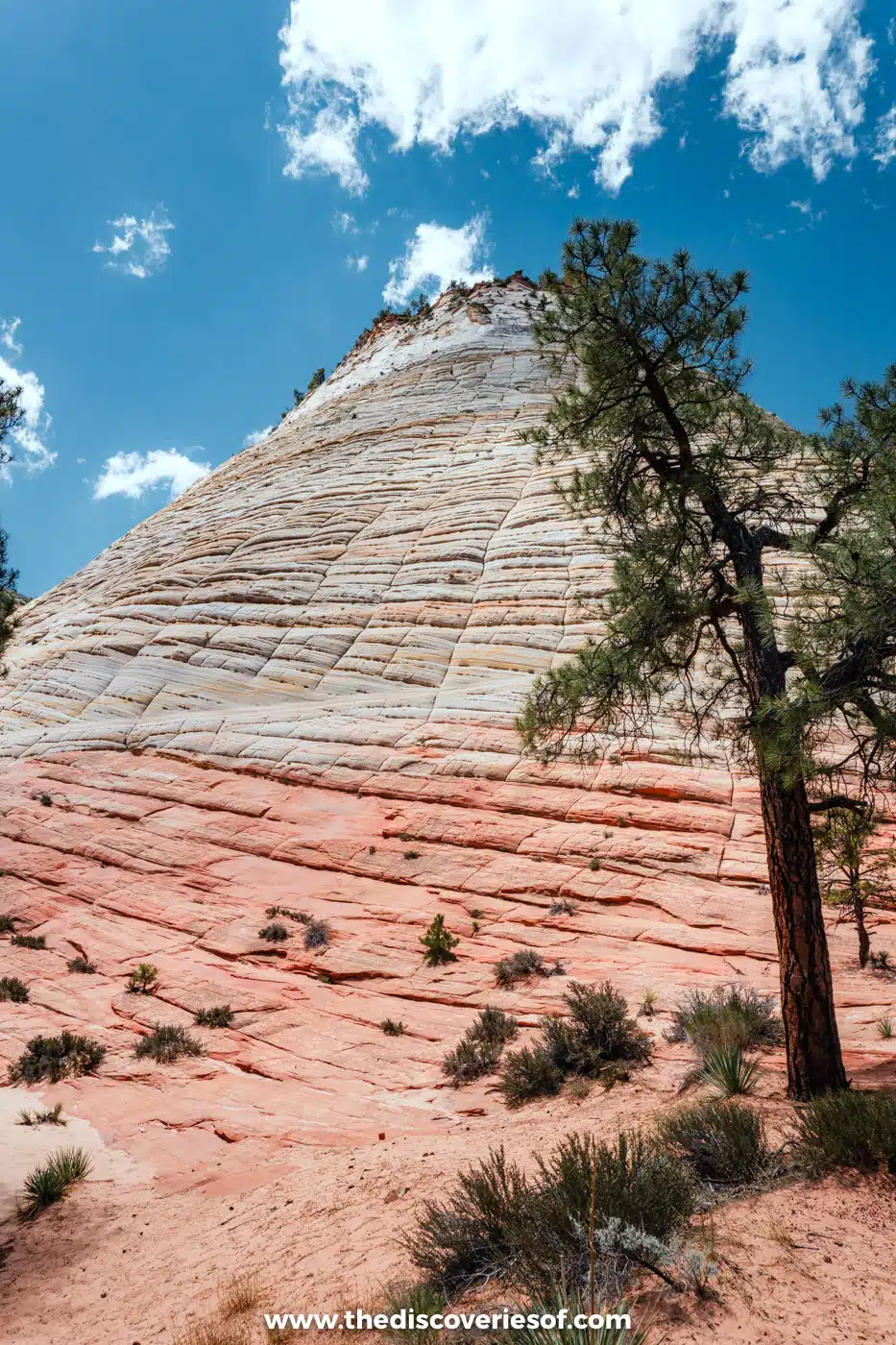 The striped slickrock of Checkerboard Mesa on the road into Zion National Park