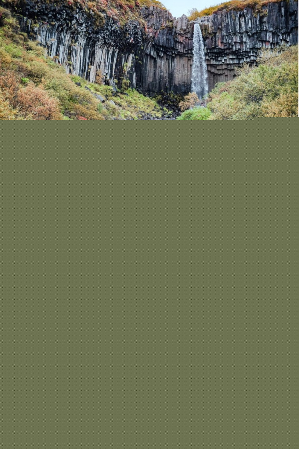 Svartifoss pin: the waterfall framed by black basalt columns and autumn birch in Skaftafell