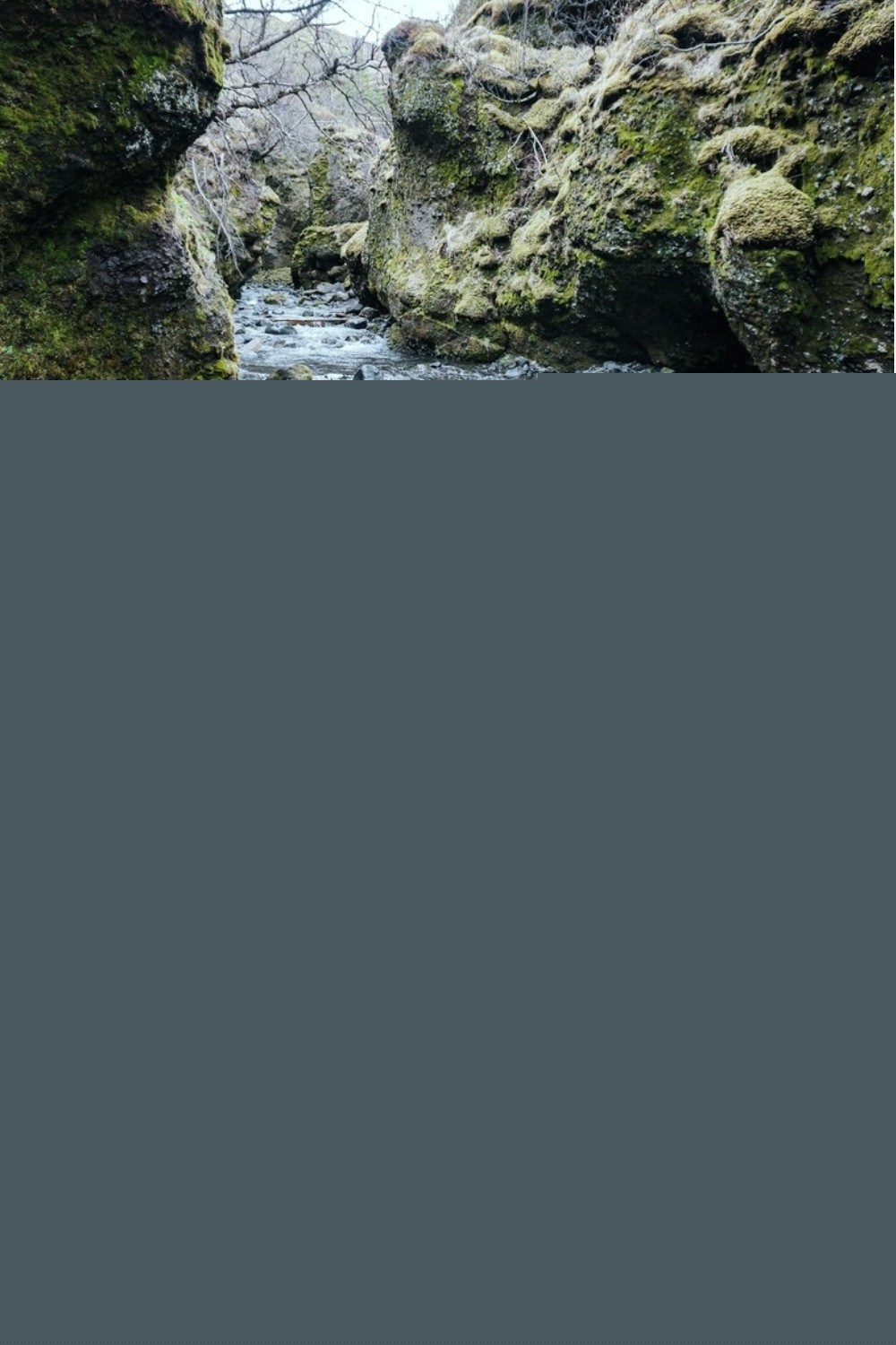 Þórsmörk pin: a stream through a mossy slot canyon and the open valley below the glaciers