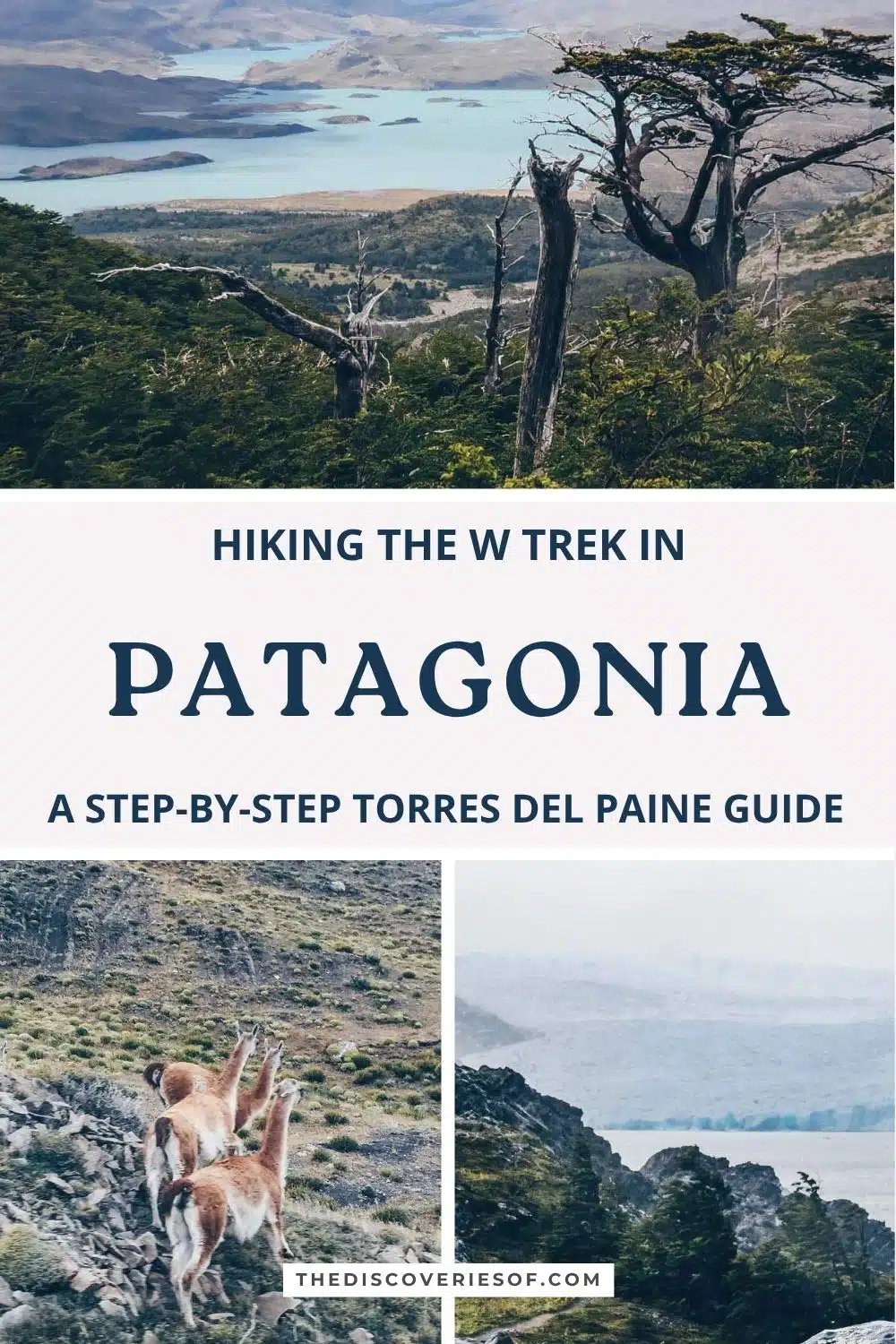 Hiking the W Trek in Patagonia: a step-by-step Torres del Paine guide