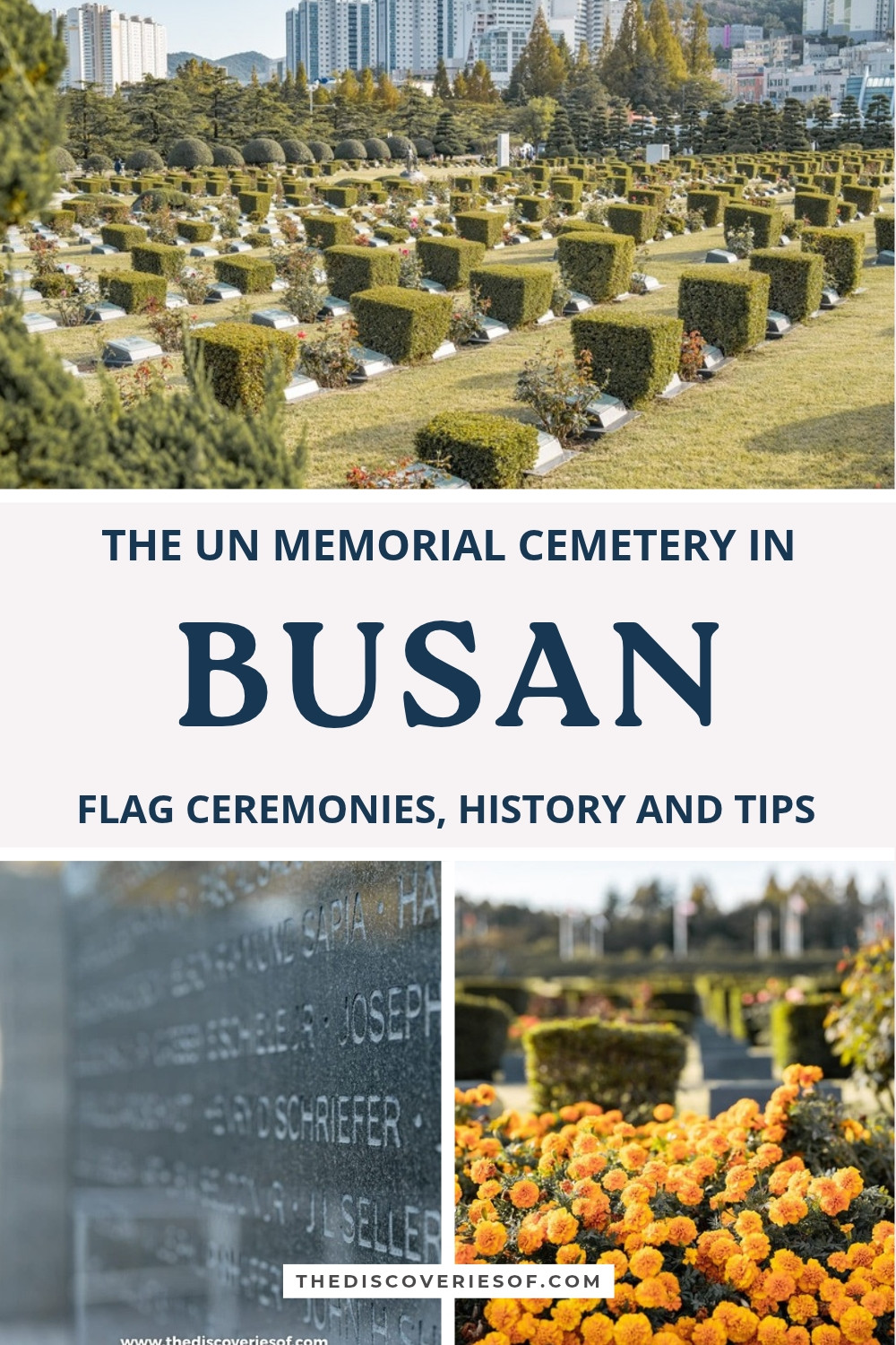 Pinterest pin for the UN Memorial Cemetery in Busan: rows of graves, the Wall of Remembrance and marigolds